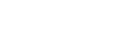 Incognito_